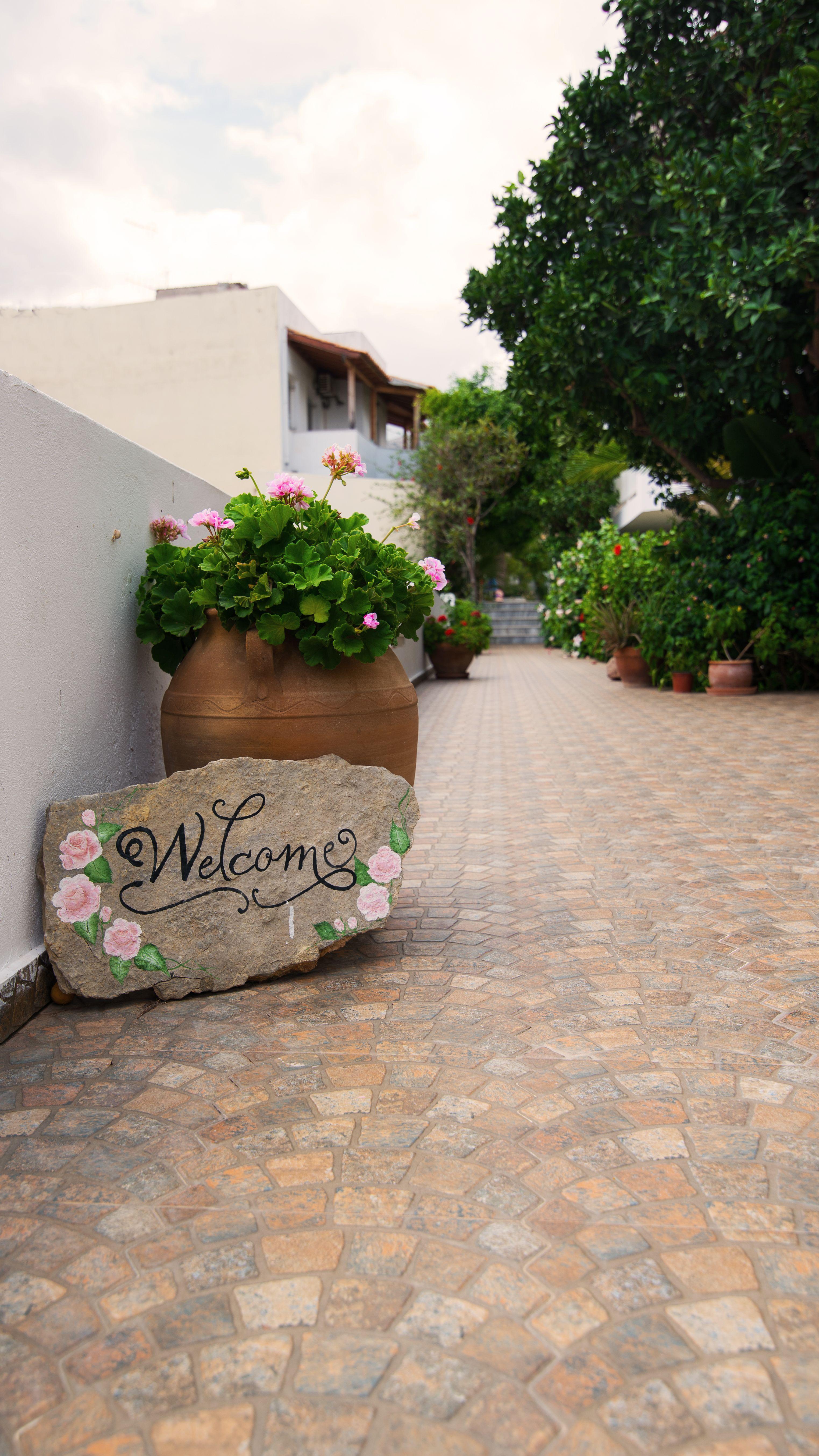 Melissa Apartments, Studios & Suites Μάλια Εξωτερικό φωτογραφία