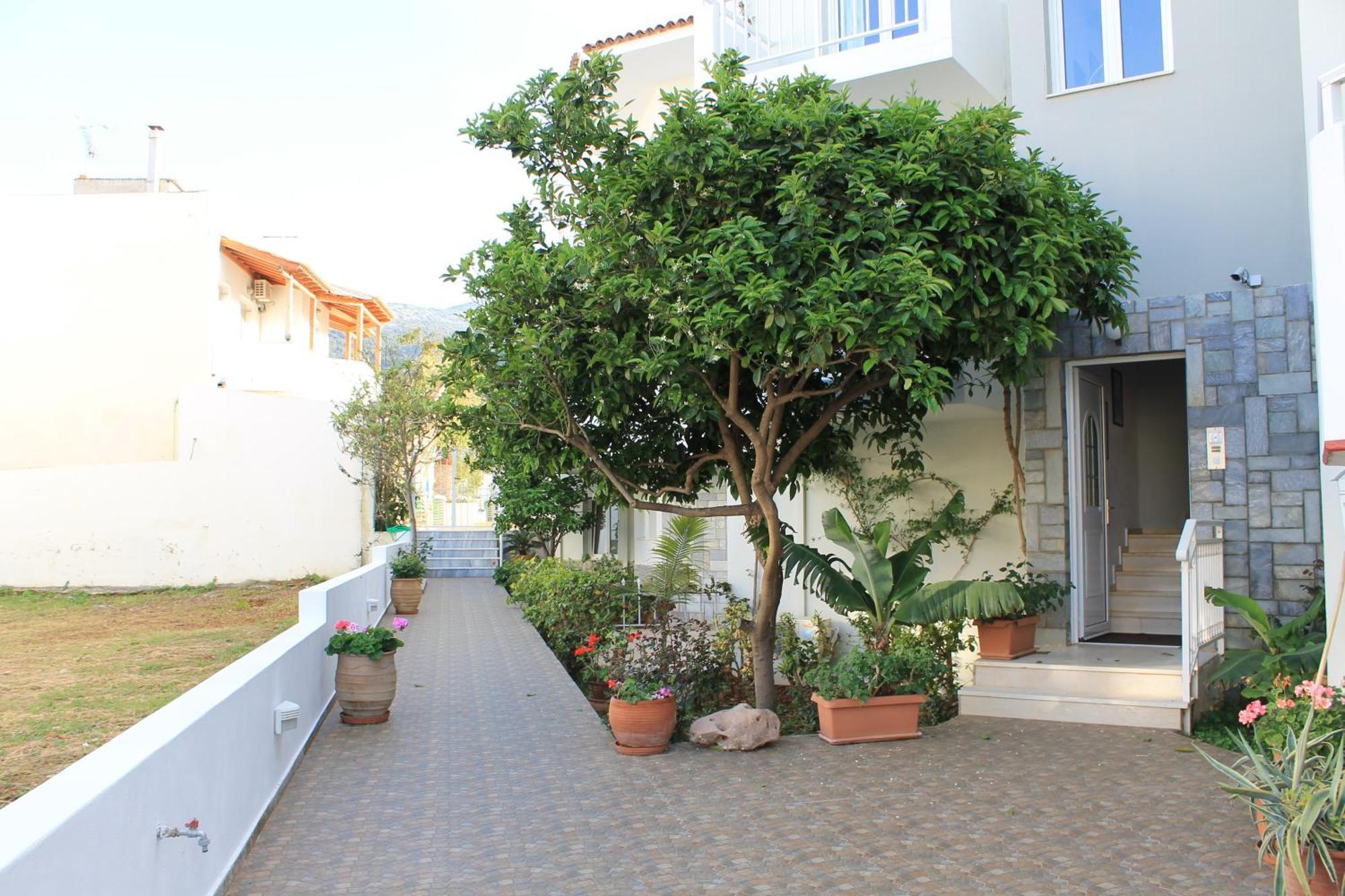 Melissa Apartments, Studios & Suites Μάλια Εξωτερικό φωτογραφία